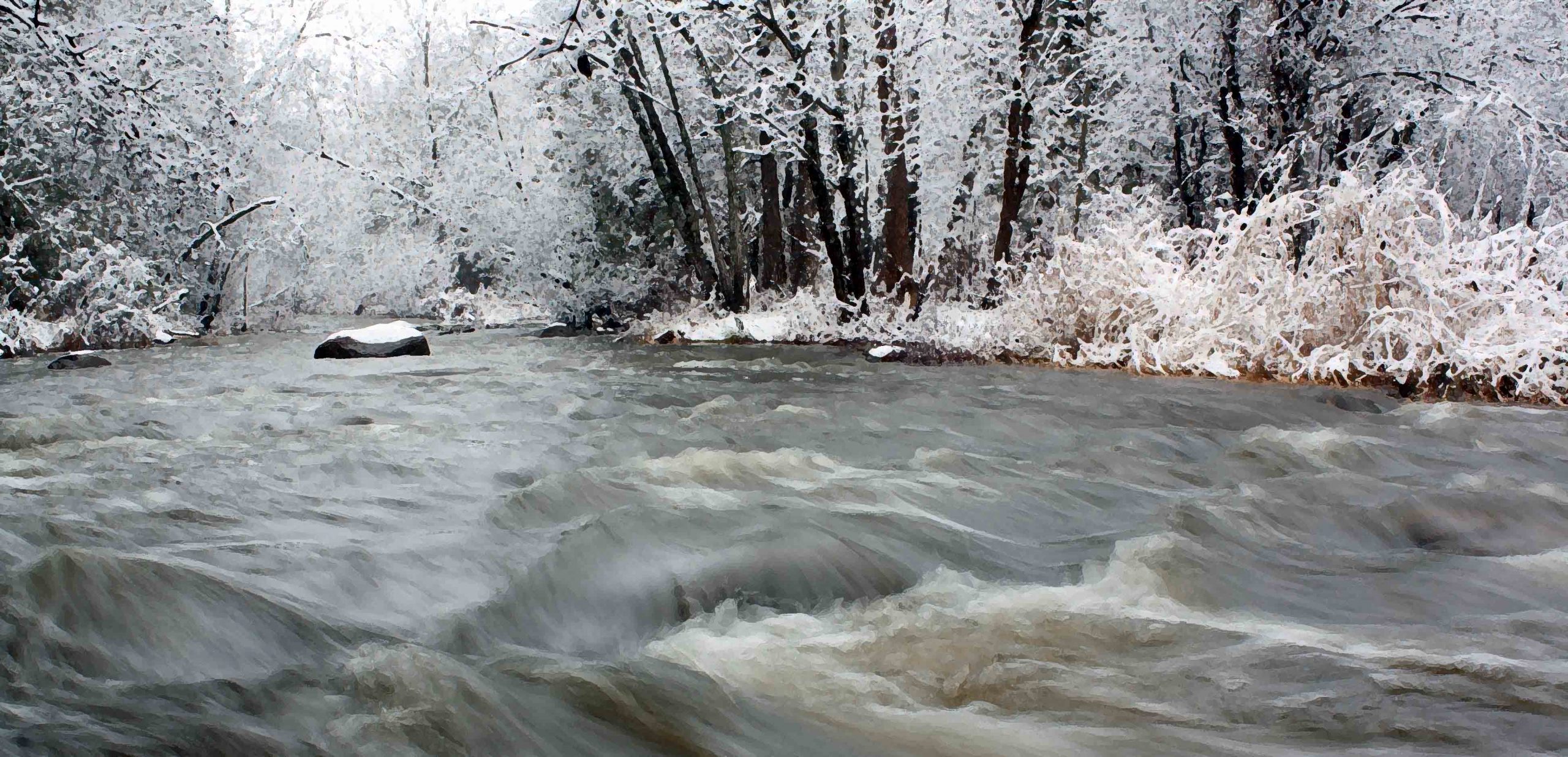 Creek Jackson in December Snow DRYBR